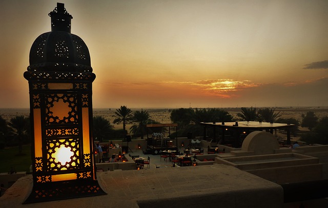 tours dubai