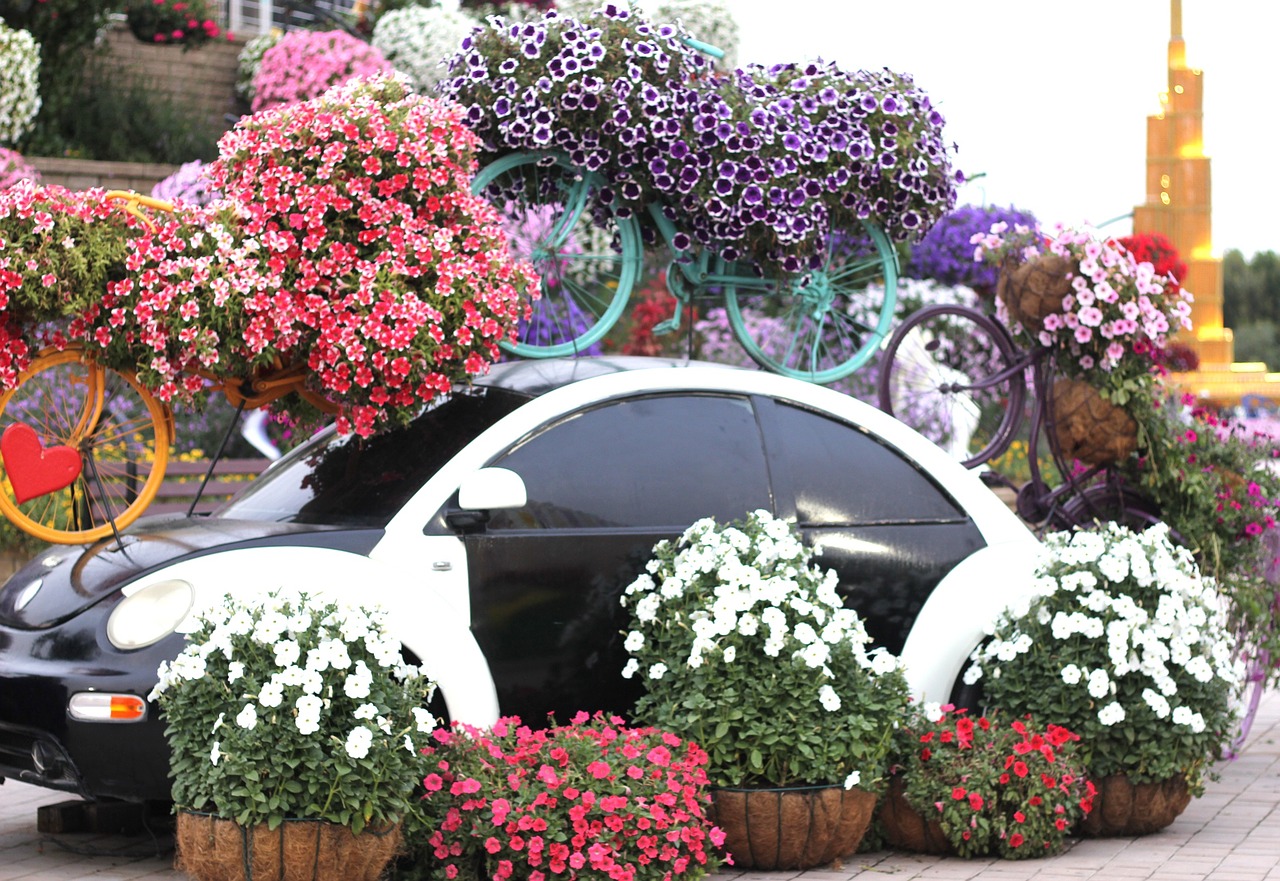 dubai-miracle-garden-