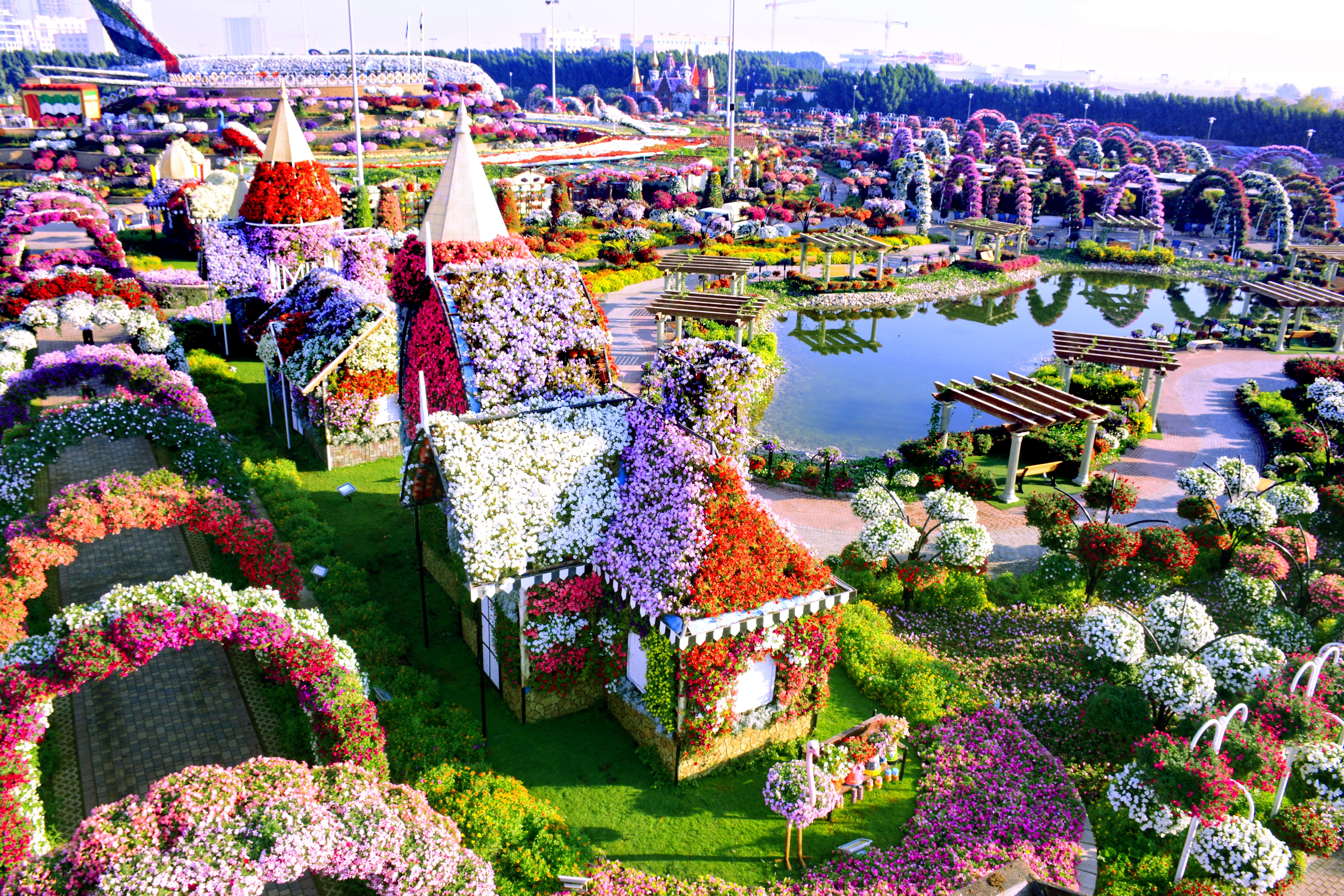 dubai miracle garden imprescindible