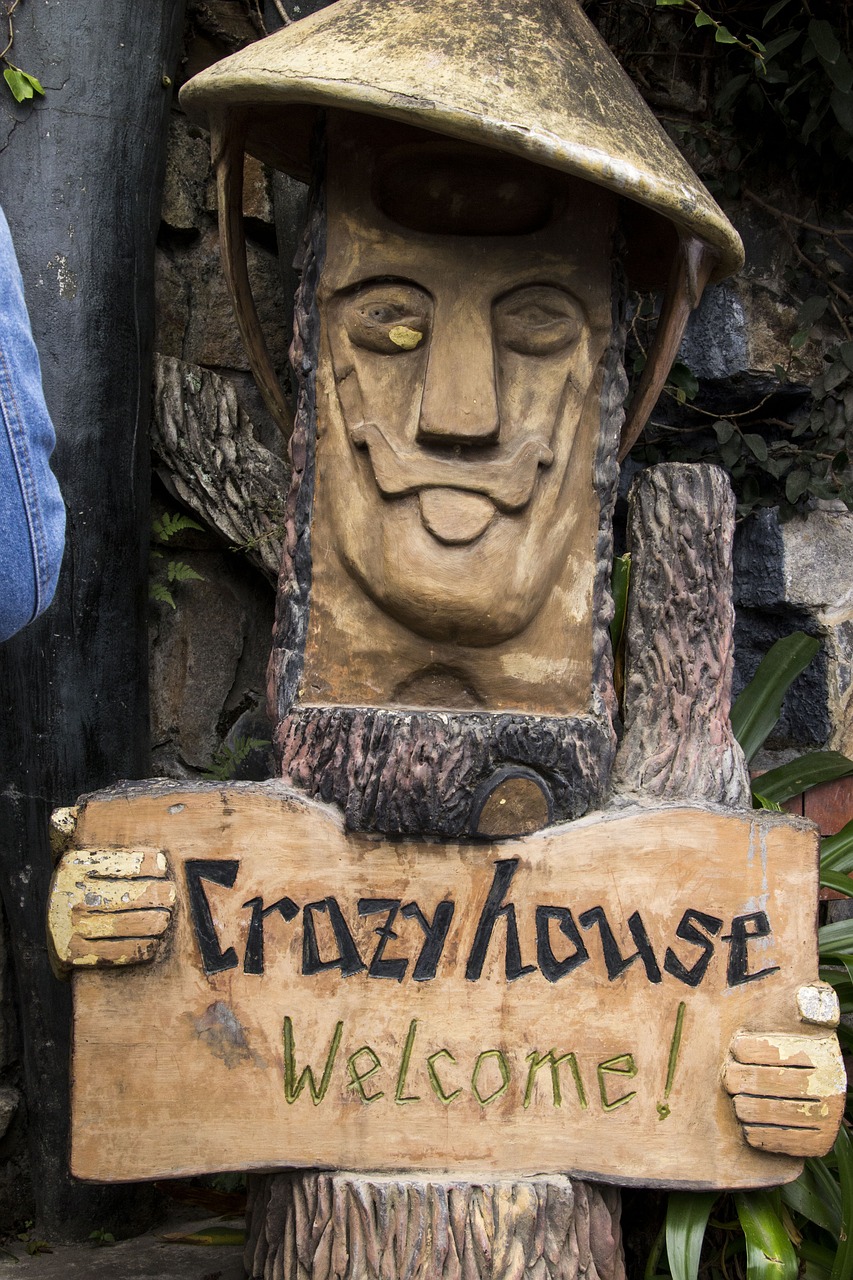 crazy house vietnam