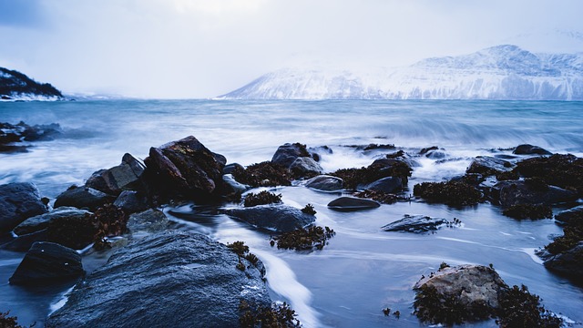 visita friodos noruegos