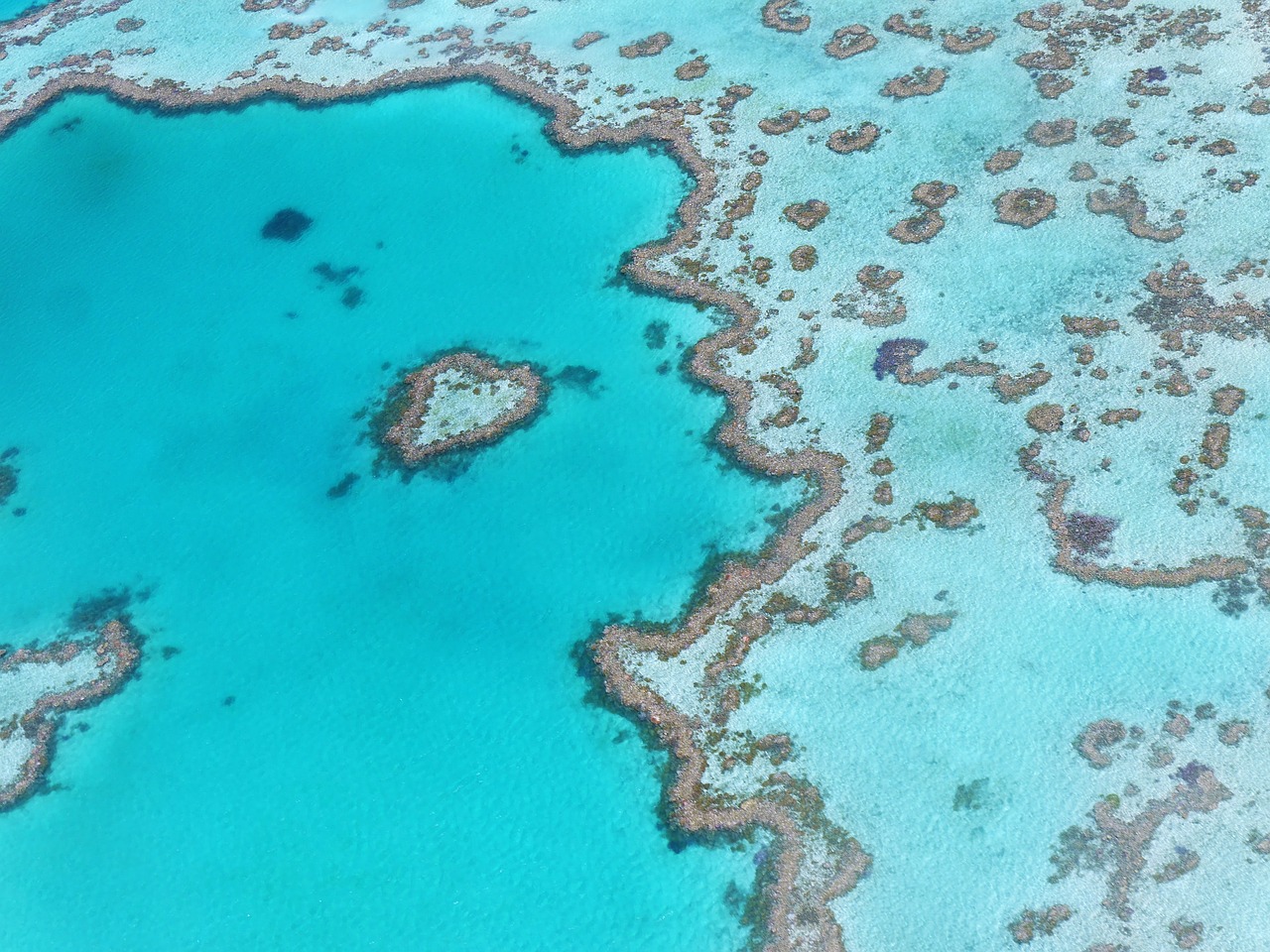 barrera coral australia